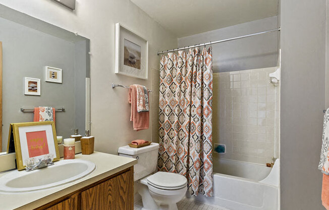 Bathroom at Woodland Willa Apartments in Westland, MI