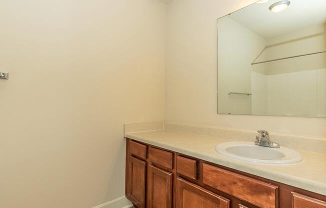 a sink and a mirror