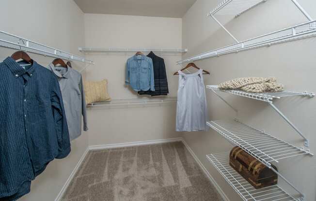Walk-In Closets with Built-In Shelving at Windsor Republic Place, 78727, TX