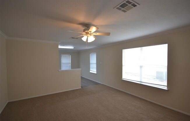 Beautifully Renovated Single-Story Gem in Leander