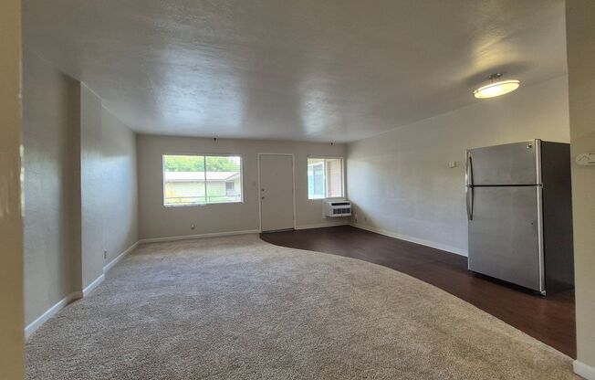 Studio, 1 bath, $1,295, Unit 209