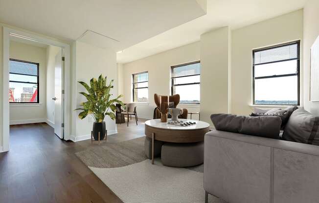 A living room with a grey couch, a coffee table, and a potted plant.