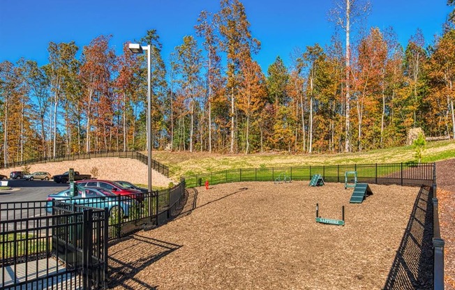 Dog Park at Sapphire at Centerpointe, Virginia, 23114