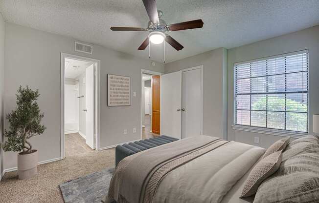 A bedroom with a bed, a ceiling fan, and a potted plant.