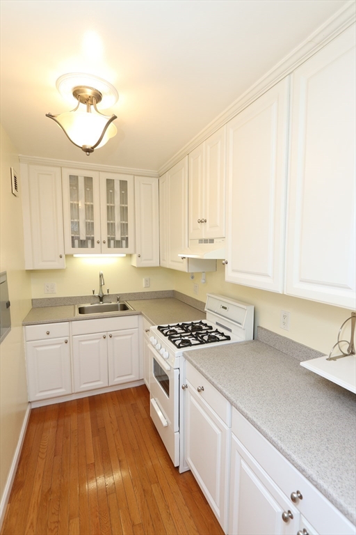 24 JUNIPER ST