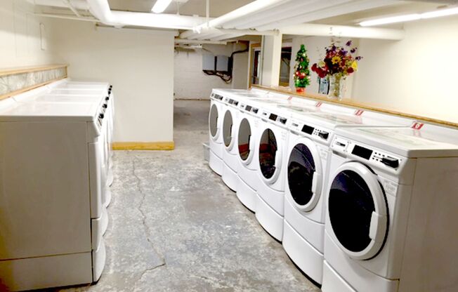 Studio, 1 bath, 575 sqft, $1,095, Unit Apt. 1D