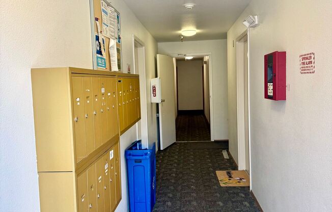 Willow Bay Apartments