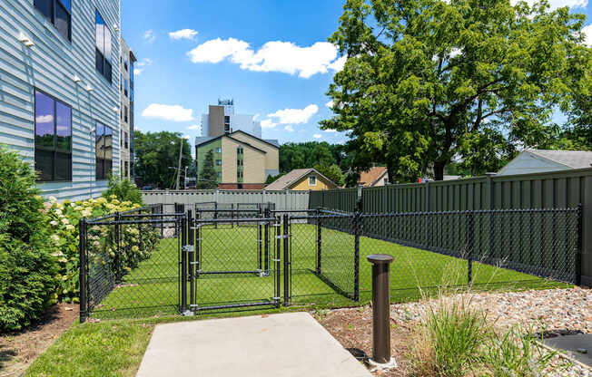 A black metal fence surrounds a green lawn.