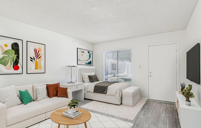 Studio, 1 bath, 350 sqft, $899, Unit 316