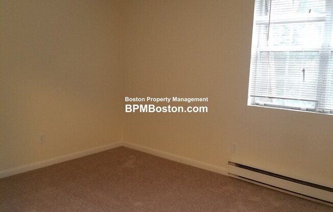 55 Elmwood Park