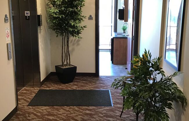 1 bed, 1 bath, 825 sqft, $1,435, Unit 2-205