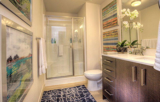 Designer Cabinets and Countertops