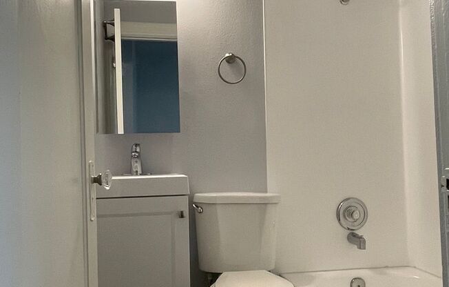 Studio, 1 bath, 300 sqft, $1,230, Unit 308