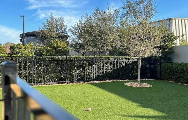 A small ball is on the green turf in a backyard.