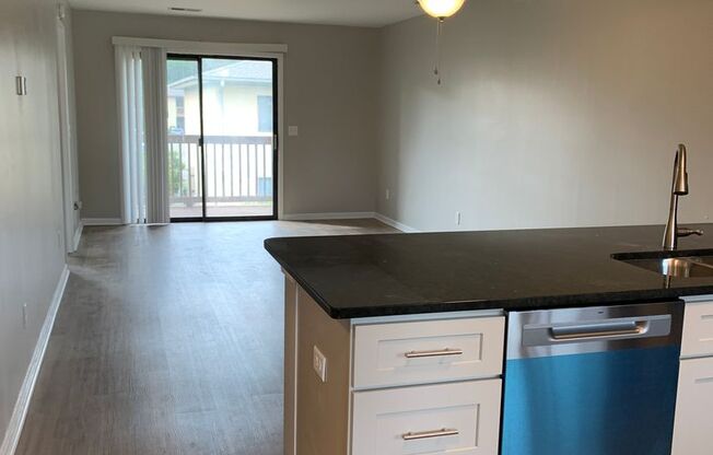 2 Bedroom 2 Bath Completely Completely Renovated Park Place Condo