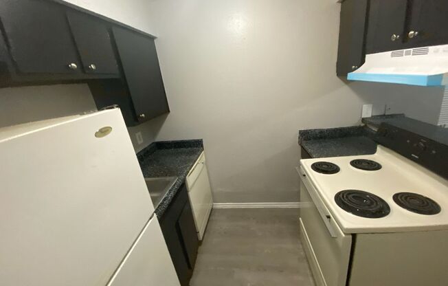 Studio, 1 bath, 400 sqft, $1,150, Unit 220