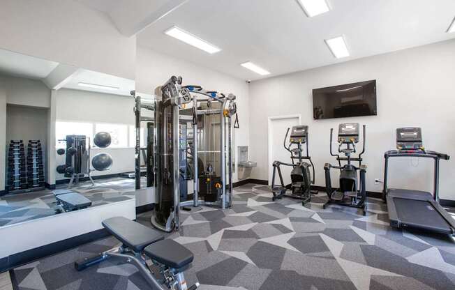 A gym with a variety of equipment including a treadmill, weights, and a bench press.