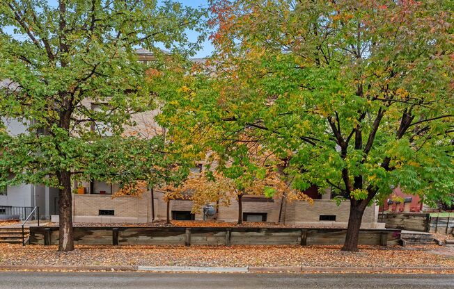 Beautiful 1 bedroom apartments just for you!