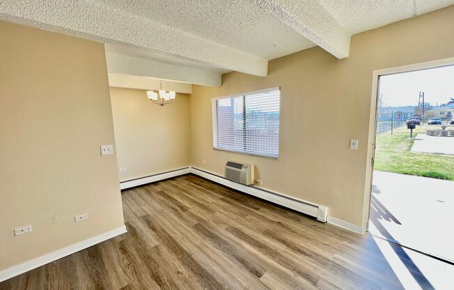 Newly Renovated One Bedroom Apartment Available December 1st