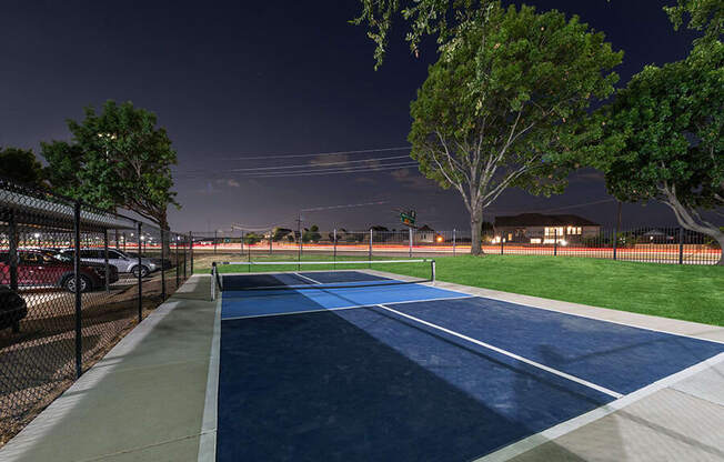 Community Pickleball Courts with Nets at Bridges at Oakbend Apartments located in Lewisville, TX.