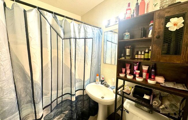 Studio, 1 bath, $725, Unit 311