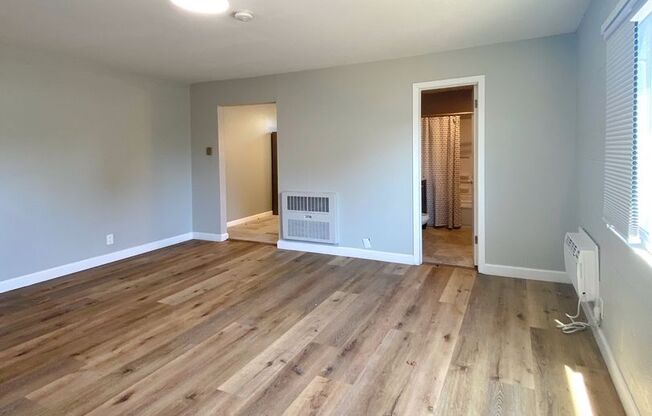 Studio, 1 bath, 435 sqft, $1,145, Unit Unit 4