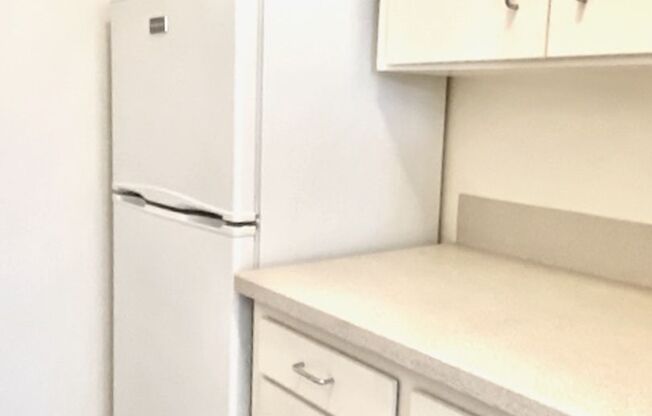 1 bed, 1 bath, 545 sqft, $1,450, Unit 308