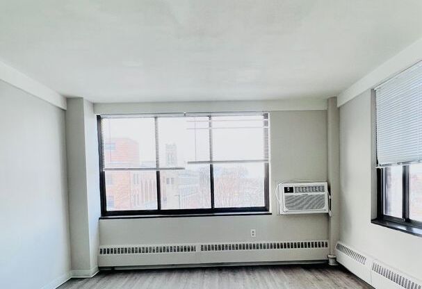 Studio, 1 bath, 320 sqft, $800, Unit # 318