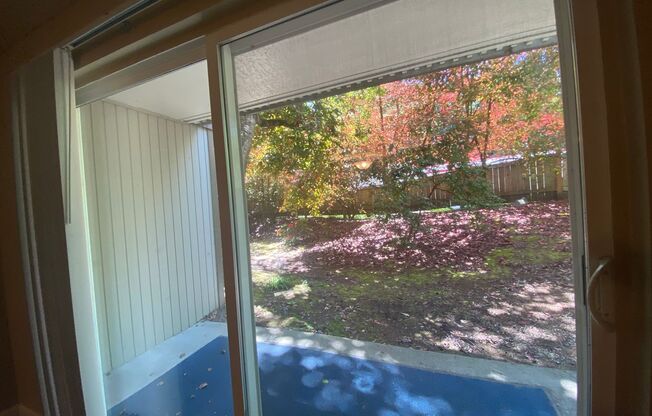 1 bed, 1 bath, 528 sqft, $1,445, Unit 103