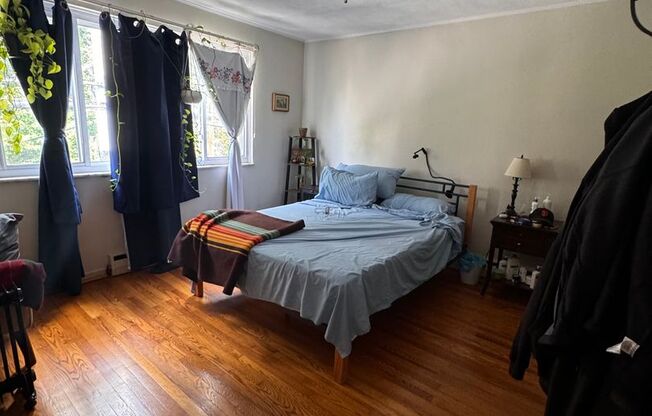 1 bed, 1 bath, 900 sqft, $1,295