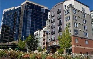 108 5th Ave S #411