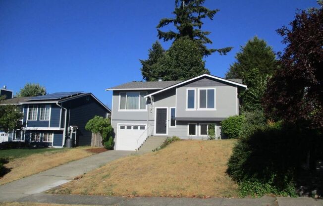 4 Bedroom, 1.75 Bathroom Home in North Tacoma