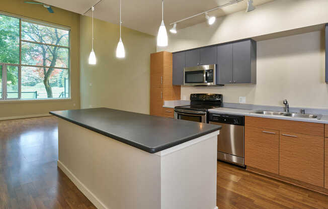 Kitchen with Stainless Steel Appliances