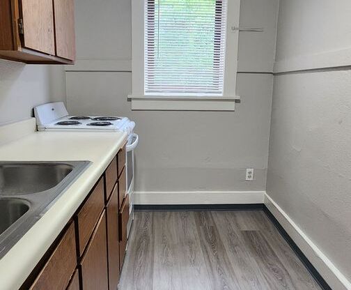 Studio, 1 bath, 415 sqft, $1,025, Unit 202