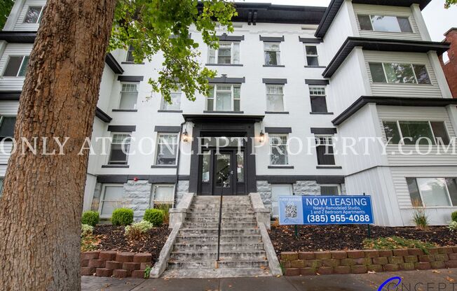 1 bed, 1 bath, 341 sqft, $1,299, Unit 3C