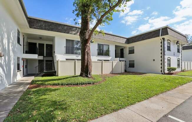 A tree is in front of a white building.