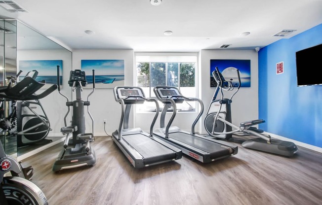 the gym at the resort at longboat key club