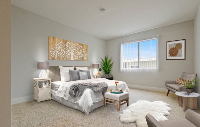 Alon Apartments in Castle Heights