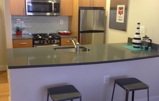 1 bed, 1 bath, $2,595, Unit 1001