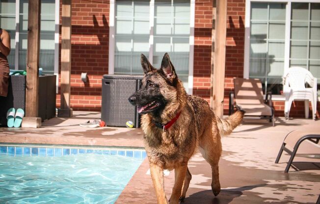 1 bed, 1 bath, 803 sqft, $1,395, Unit 3108