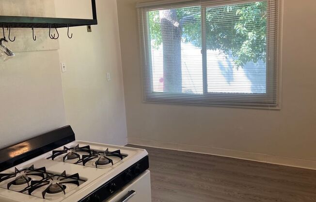 1 bed, 1 bath, $1,750