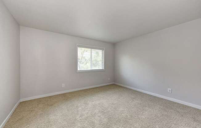 Bedroom with Large Window, Carpet and White Walls