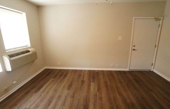 Studio, 1 bath, 317 sqft, $1,295, Unit 1E