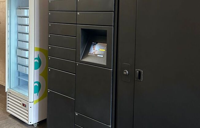 1 bed, 1 bath, $725, Unit Apt. 203 A - Female Co-Living SHARED APT