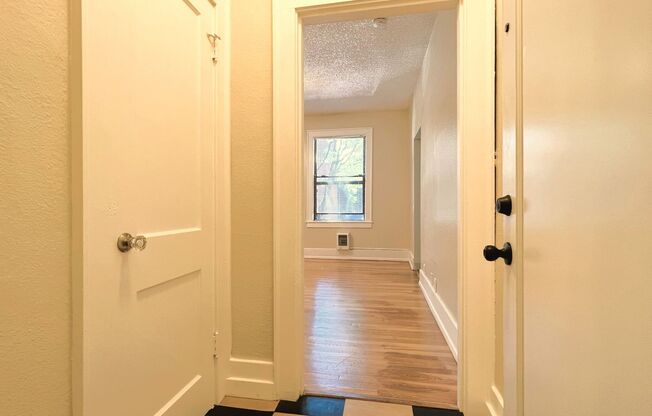 Studio, 1 bath, 525 sqft, $1,245, Unit 312