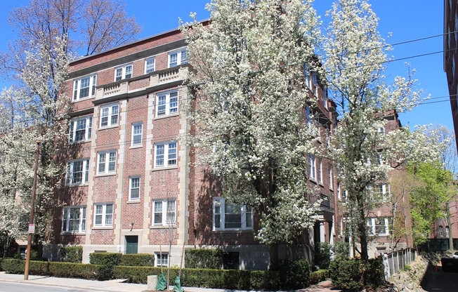 31 Concord Ave.