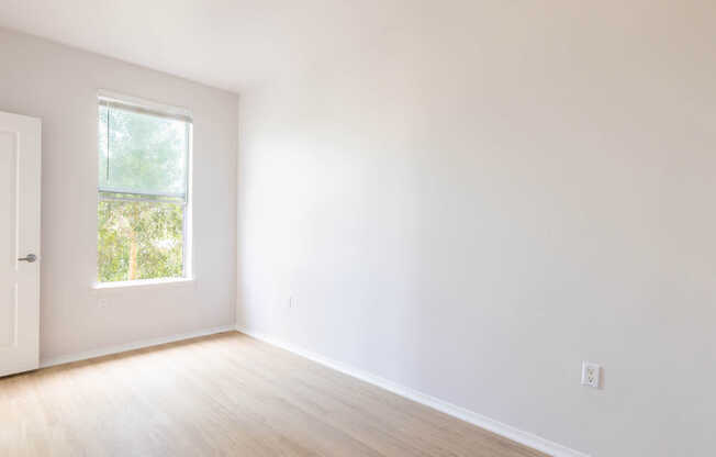 Bedroom with Hard Surface Flooring