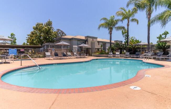 a swimming pool with chairs and palm trees