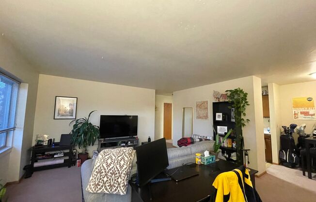 1 bed, 1 bath, 590 sqft, $1,385