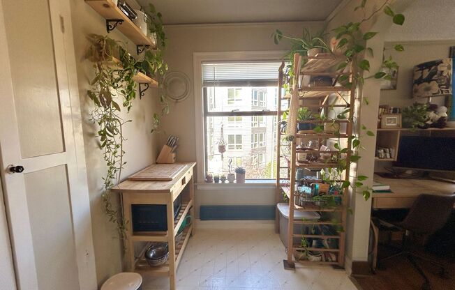 1 bed, 1 bath, 544 sqft, $1,750, Unit Unit 301